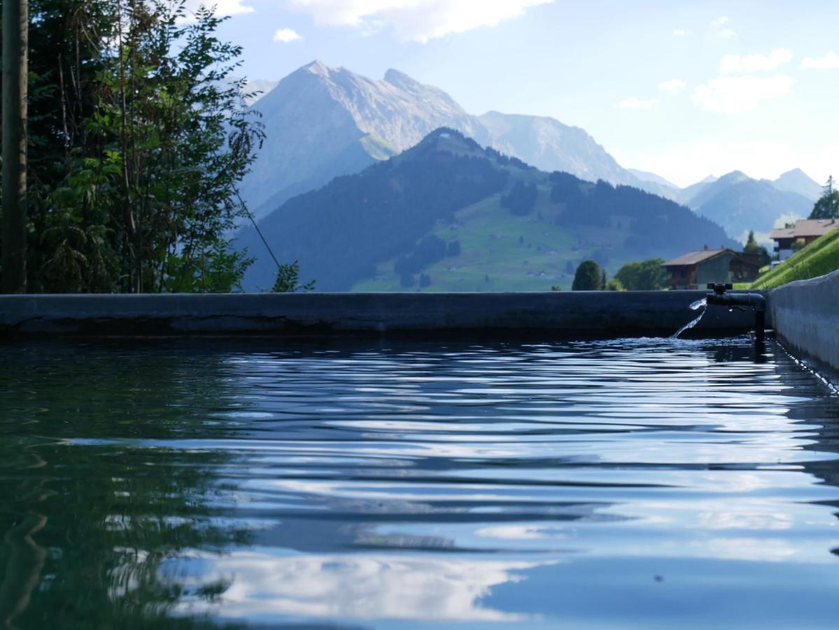 Chalet Sonnenheim, Wohnung Mit Panoramafenster Adelboden Exterior foto